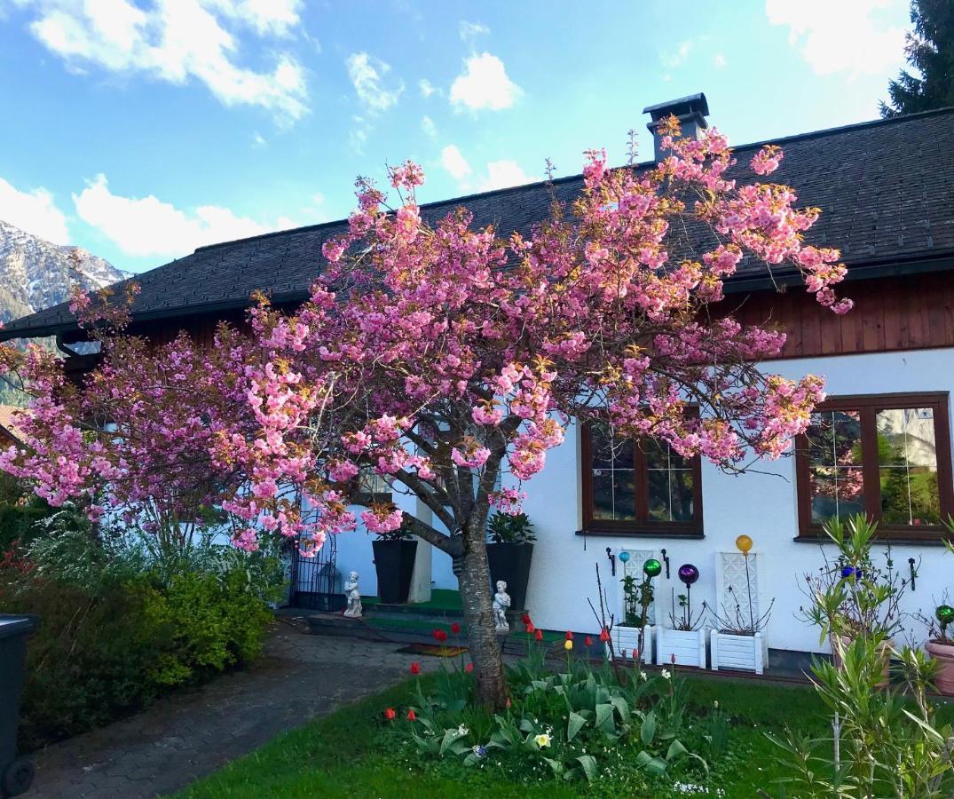 Haus Belli Vila Bad Aussee Exterior foto